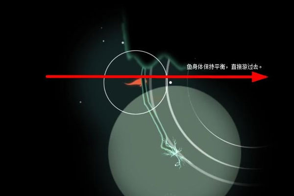 鲤重制版 鲤重制版