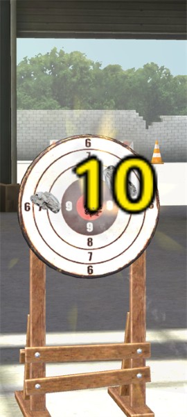 ǹ�����ս����