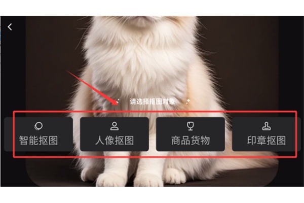 ����app��ҳ��