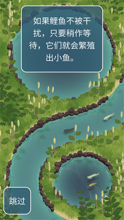 锦鲤农场 锦鲤农场