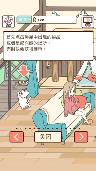猫咪饲养日常 猫咪饲养日常