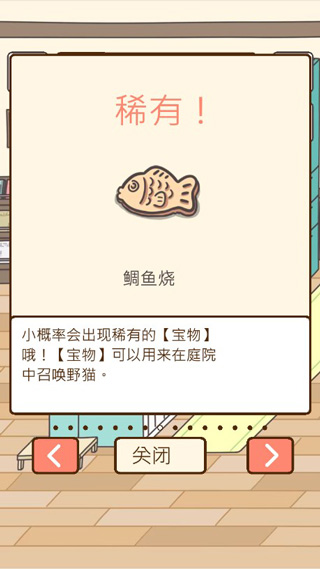 猫咪饲养日常 猫咪饲养日常
