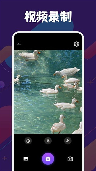 SD视频app最新版 SD视频app最新版