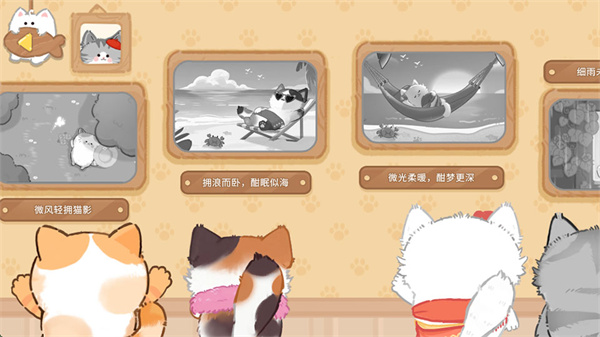 猫咪疗愈所 猫咪疗愈所