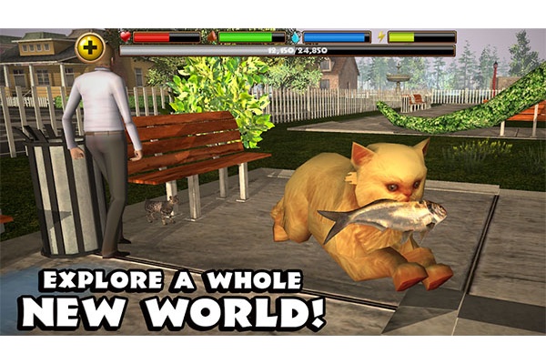 StrayCatSim
