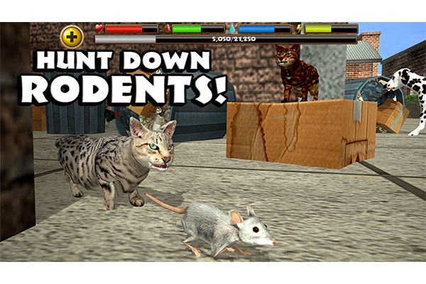 StrayCatSim