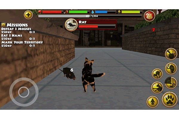 StrayCatSim