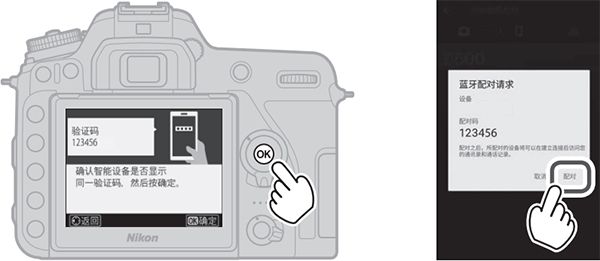�῵SnapBridge