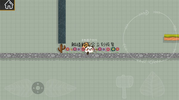 森林小会最新版 森林小会最新版