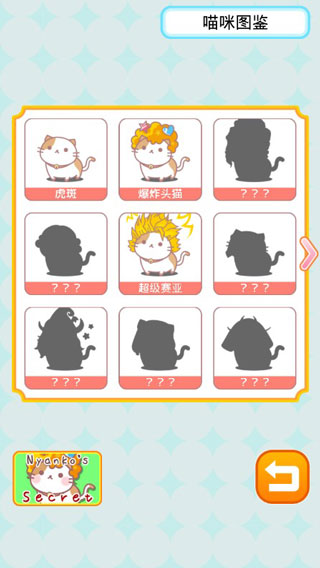 爆炸头猫 爆炸头猫