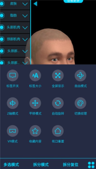 医维度解剖 医维度解剖