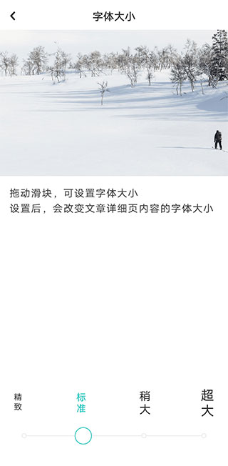 老福特 老福特