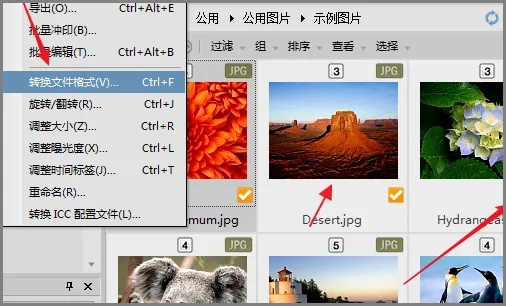 acdsee�ֻ���app(ACDSee Mobile Sync)