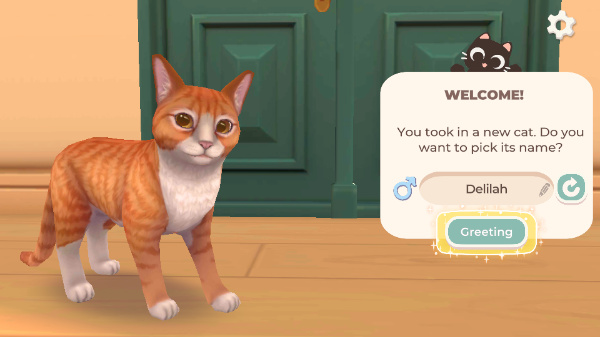 猫咪救援故事 猫咪救援故事
