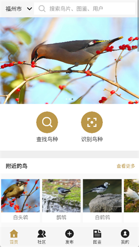 识鸟家 识鸟家