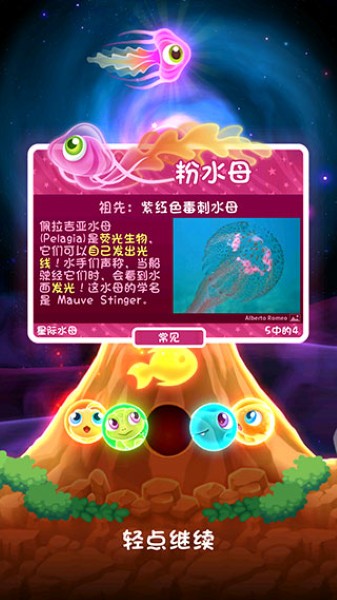 超级星鱼无限月光石 超级星鱼无限月光石