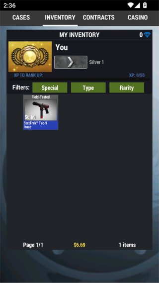 CS2����ģ����