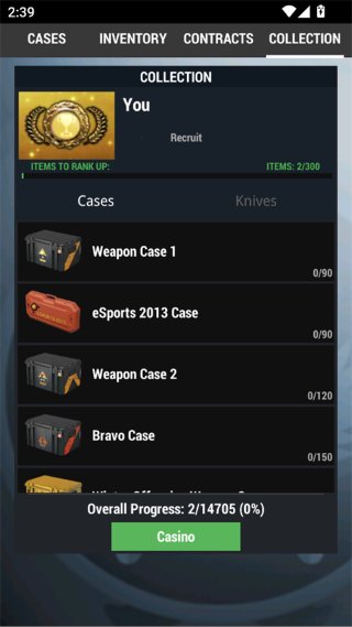 CS2����ģ����