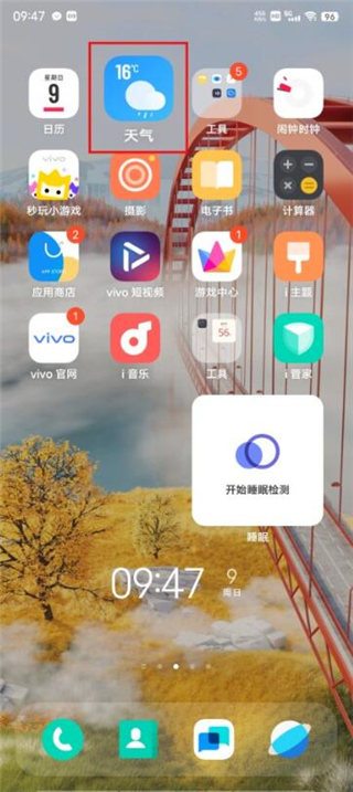 vivo����