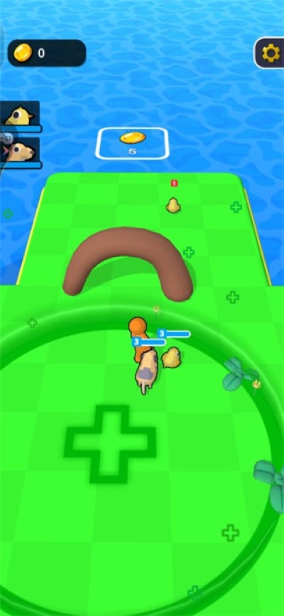 5.jpg