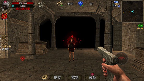 ��Ĺ������Ϸ(Tomb Hunter Pro)