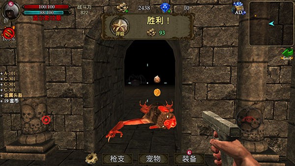 ��Ĺ������Ϸ(Tomb Hunter Pro)