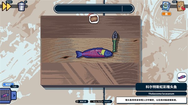 深海刮刮乐正版 v10.11