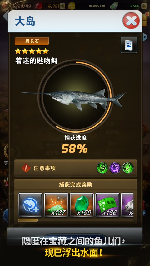 ���㷢���� v10.2.02