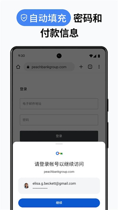 �ȸ��������Ѱ� v138.0.7204.1801