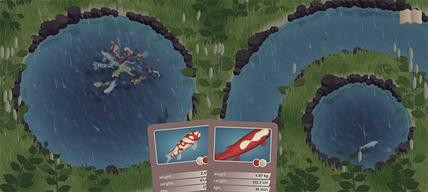 锦鲤农场 v1.0.131