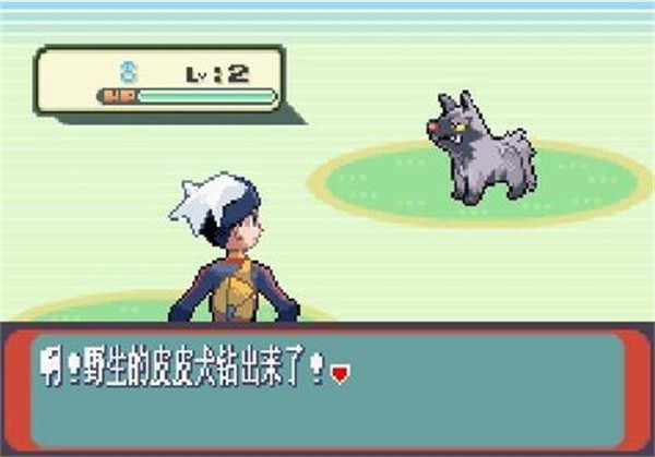 口袋妖怪欧米伽红宝石手机版 v2021.05.21.140