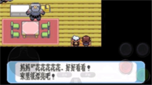 口袋妖怪欧米伽红宝石手机版 v2021.05.21.141