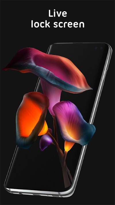 pixel 4d壁纸官方正版 v3.4.62
