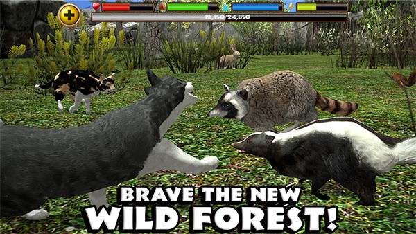 StrayCatSim v1.0.41
