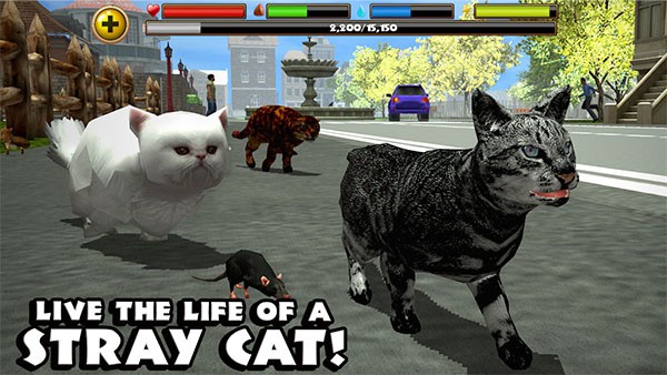 StrayCatSim v1.0.40