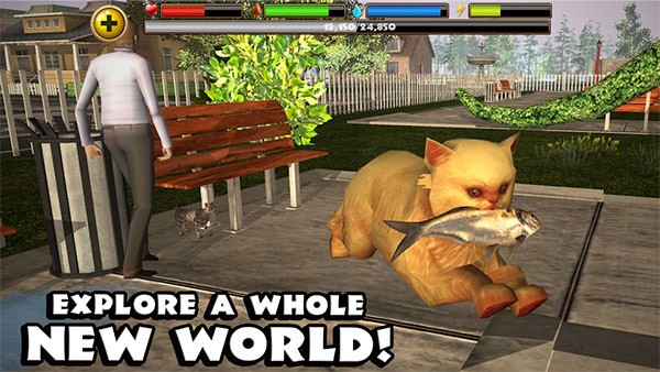 StrayCatSim v1.0.42