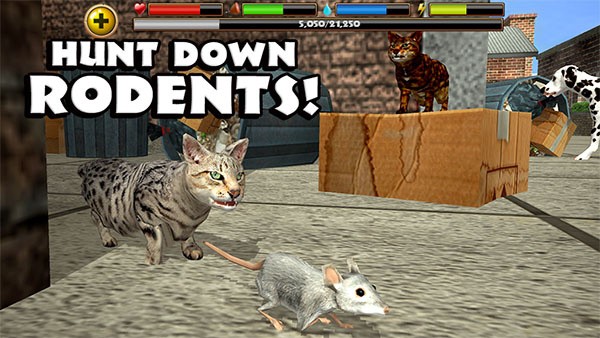 StrayCatSim v1.0.43