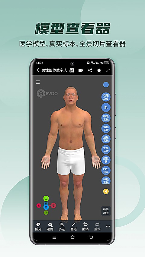 医维度解剖 v3.3.232