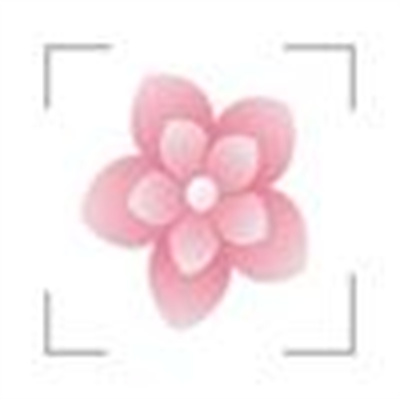 flow音乐照片最新版