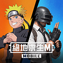 pubg mobile国际服中文版