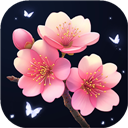 插花小屋游戏app正版