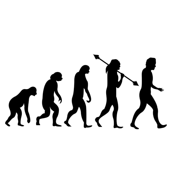 Homo����������Դ��Ϸ��׿��