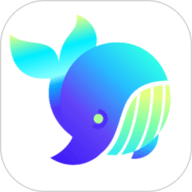 С����app