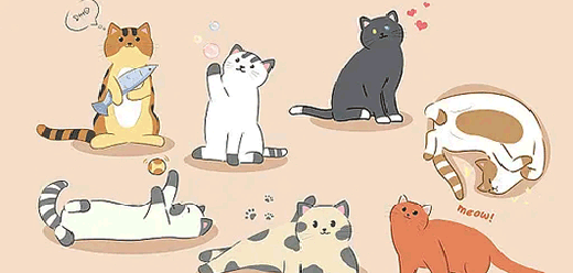 猫咪的游戏大全