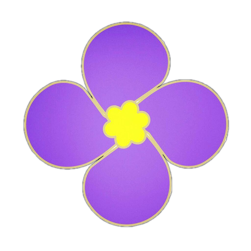 紫金草视频